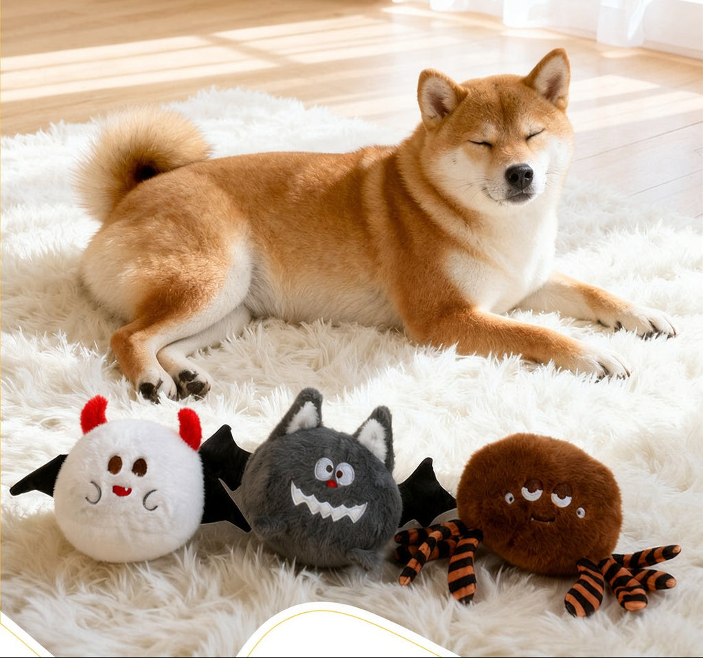 Cute Halloween Witch Dog Costume, Bib and Hat Set